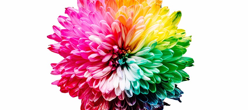 16 Ways Color Affects Your Branding and Marketing